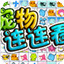 程序和蜘蛛池