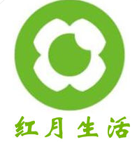 seo快速排名实战蜘蛛池