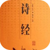 小旋风蜘蛛池效果怎么样啊