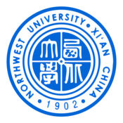 大佬seo 蜘蛛池