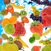 新手如何选择seo站群蜘蛛池