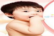 快雀超级seo动态蜘蛛池