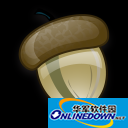 蜘蛛池怎么养虾视频教学